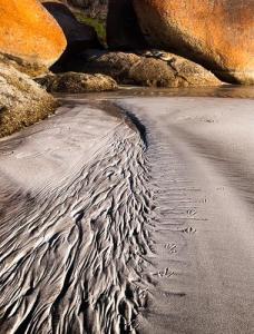 Footprints-in-the-Sand