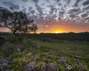 Flinders Ranges Sunset-2