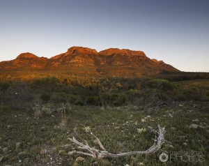Flinders Ranges morning glow-2